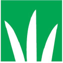 dlf seeds ltd.