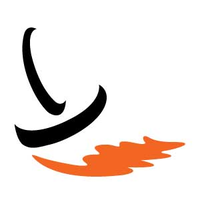 pronto industrial paints limited