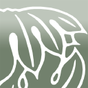 clews architects ltd