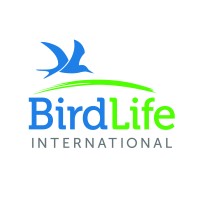 birdlife international