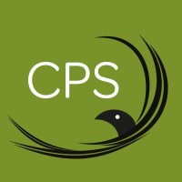 corbeau procurement supplies limited