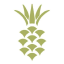 pyramid builders limited