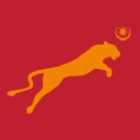 springfield (uk) ltd