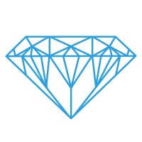 direct food ingredients limited