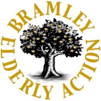 bramley elderly action