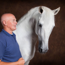 el caballo de espana limited