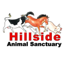 hillside animal sanctuary limited