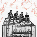 greenhouses direct limited