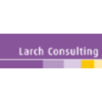 larch consulting limited