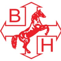 ballyvesey holdings limited