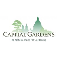 capital gardens limited