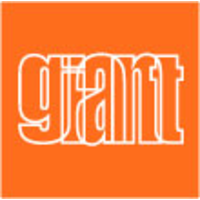 giant group limited