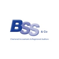 bss accountants limited