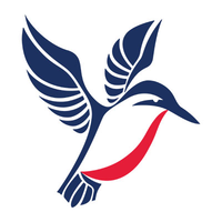 blue chip technology limited