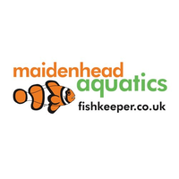 maidenhead aquatics limited
