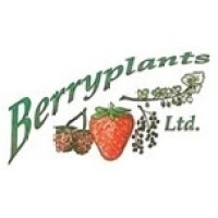 berryplants limited