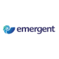 emergent asset management ltd.