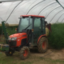 collyers services limited