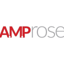 a.m.p. rose limited