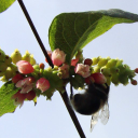 gill research & development limited