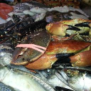bradleys fish limited