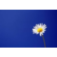 harrison training limited