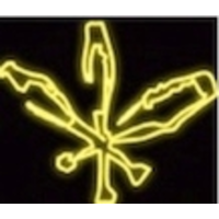 creative performance limited