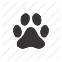 torquay v.e. limited