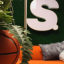 the showroom gallery ltd.