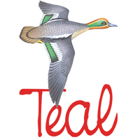 teal patents limited