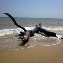 rsf services limited