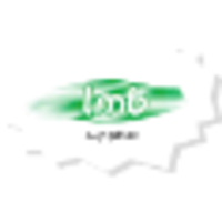 lmb supplies limited