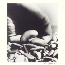 bill brandt archive limited