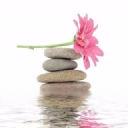 classic beaute limited