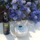 grasslands and savannah limited