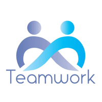 the teamwork trust