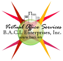 virtual office services limited