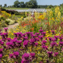 helmsley walled garden limited