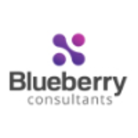 blueberry consultants limited