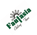 fantasia ceiling fans limited