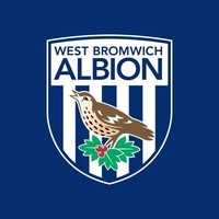 west bromwich albion football club limited