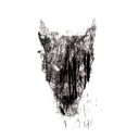 black dog films limited