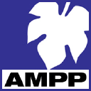 amp productions limited