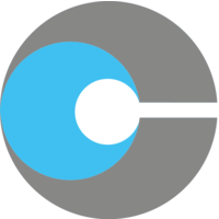 corporate citizenship limited