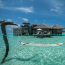 only exclusive travel limited