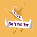 young people of the year limited