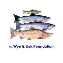 the wye and usk foundation