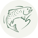 the wild trout trust limited