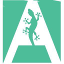 lizard design limited