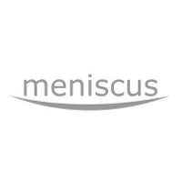 meniscus systems ltd.